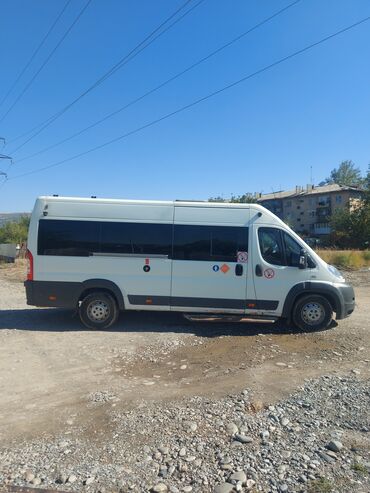 камири 35 кузуп: Fiat Ducato: 2013 г., 2.2 л, Механика, Дизель, Бус