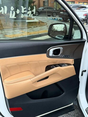 Kia: Kia Sorento: 2020 г., 1.6 л, Гибрид — 18