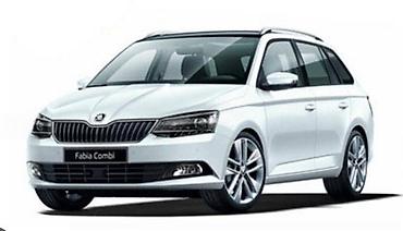 mabosol legio ac: HAUNA BRANIK D. VRATA ZA ŠKODA FABIA OD 2015. DO 2019. GOD. | SKODA — 1