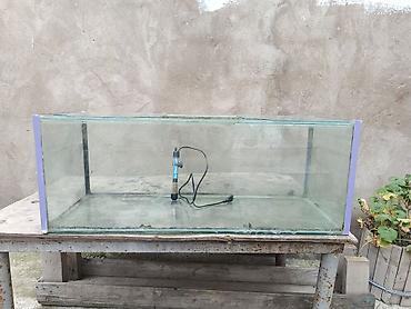 akvarium az: Unvan Xirdalan az islenib uzun 95 eni 35 hun35 Qiymet 60 azn — 2