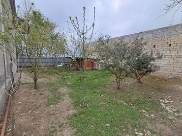 Həyət evləri və villaların satışı: 6 otaqlı, 170 kv. m, Kredit yoxdur, Yeni təmirli — 5