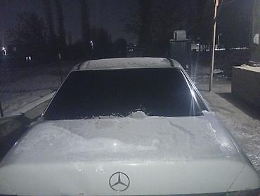 Mercedes-Benz: Mercedes-Benz W124: 1989 г., 2.3 л, Механика, Бензин, Седан — 1