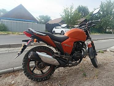 super cub: Naked Honda, 150 куб. см, Бензин, Взрослый, Б/у — 7
