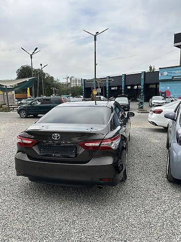 решётки на радиаторы: Toyota Camry: 2019 г., 2.5 л, Автомат, Бензин, Седан — 4