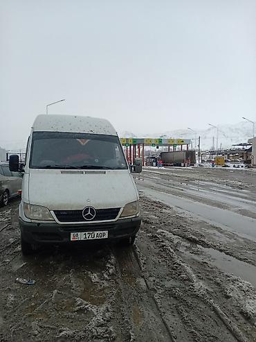 Mercedes-Benz: Mercedes-Benz Спринтер: 2003 г., 2.9 л, Механика, Дизель — 13