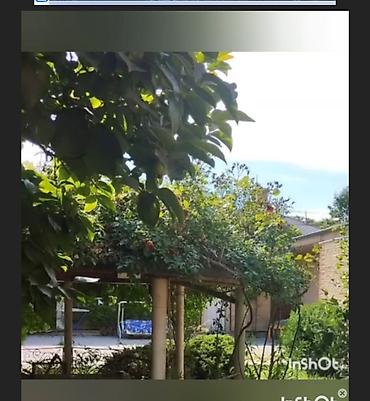 Həyət evləri və villaların satışı: Həyət evləri və villaların satışı — 2