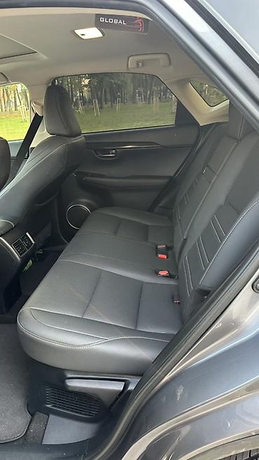 lexus js: Lexus NX: 2020 г., 2 л, Автомат, Бензин, Кроссовер — 5