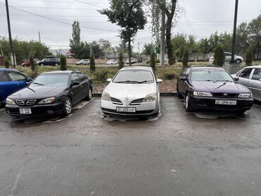 ниссан примера 1995: Nissan Primera: 2002 г., 1.8 л, Механика, Бензин, Хэтчбэк