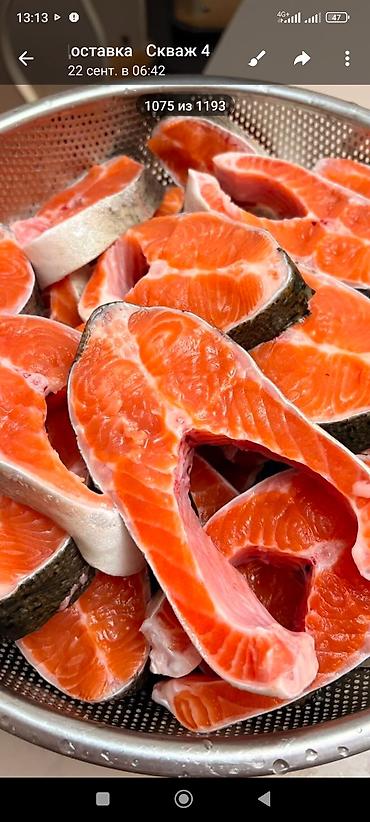 Форель: Продаю только оптом свежую шоково-замороженную форель высшего — 6