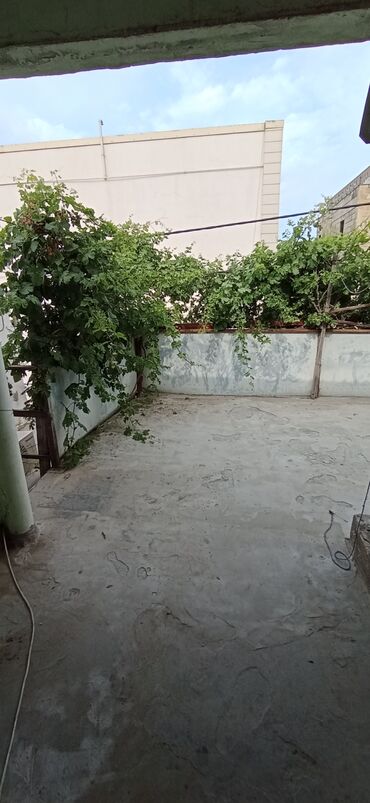 en ucuz yataqxana qiymetleri: İnşaatçılar metrosunun yanında otdelni həyət evi kirayə verilir