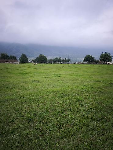 rahat market isə qəbul: 17 sot, Kənd təsərrüfatı, Mülkiyyətçi, Kupça (Çıxarış) — 2