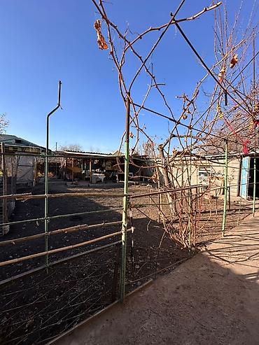 Продажа коттеджей и домов: Дом мансарт со всеми условиями канализация отопление газ садик мектеп — 8