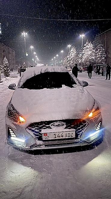 outback wilderness: Hyundai Sonata: 2020 г., 2 л, Автомат, Газ, Седан — 1