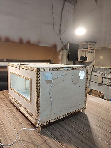 toyuq novleri: Taxta brooder/qəfəs-kamera (istixana tipli qutu) - Material — 2