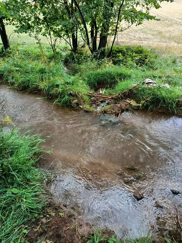 Продажа участков: 72 соток, Для сельского хозяйства, Договор купли-продажи — 8