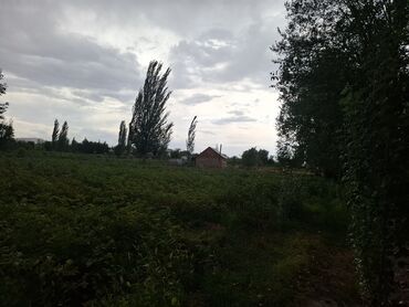участок сокулук дом: Дом, 45 м², 3 комнаты, Собственник