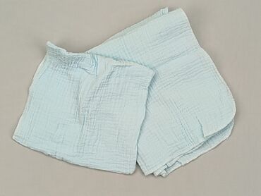 Towels: PL - Towel 43 x 35, color - Light blue, condition - Very good