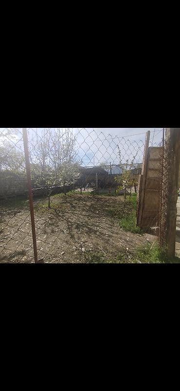 ev elanlari 2022: 2 sot, Tikinti, Mülkiyyətçi, Kupça (Çıxarış) — 2