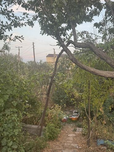 Продажа домов: Дом, 800 м², 2 комнаты, Старый ремонт — 8