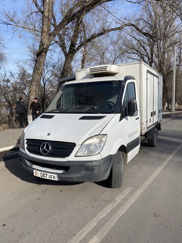 Легкий грузовой транспорт: Легкий грузовик, Новый