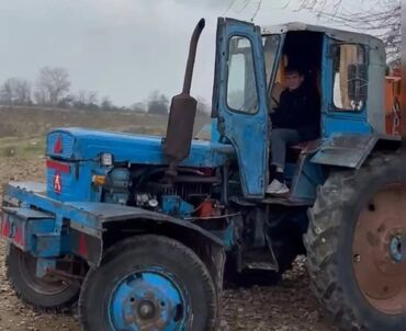 Traktorlar: Traktor Belarus (MTZ) T-28, 1981 il, 50 at gücü, motor 1.9 l, İşlənmiş