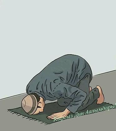 Больше 6 лет опыта — 22
