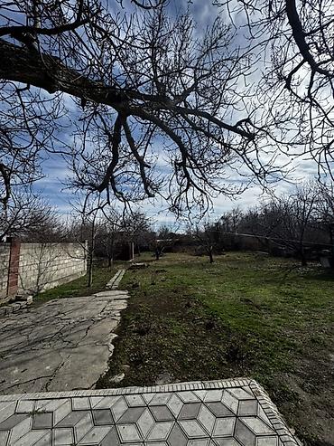 Продажа коттеджей и домов: Продается частный дом с благоустроенной территорией. Основные — 8