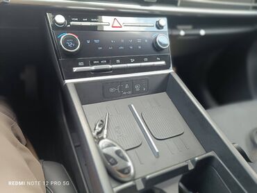 Hyundai: Hyundai Santa Fe: 1.6 l | 2024 il Ofrouder/SUV — 19