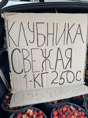 продать помидоры оптом: Клубника В розницу