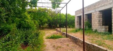 бизнес: 100 соток, Для бизнеса, Собственник, Бялядия (муниципалитет), Техпаспорт, Договор