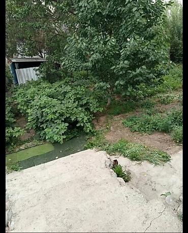 Продажа коттеджей и домов: Срочно продаю дачный дом ближе Село Байтик Дача "Автомобилист" рядом — 4