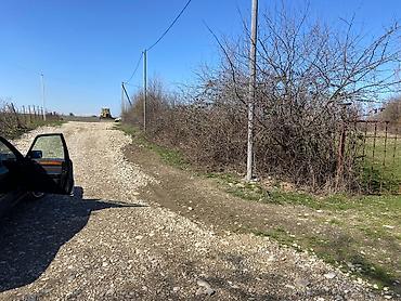 Torpaq sahələrinin satışı: Kənd təsərrüfatı — 4