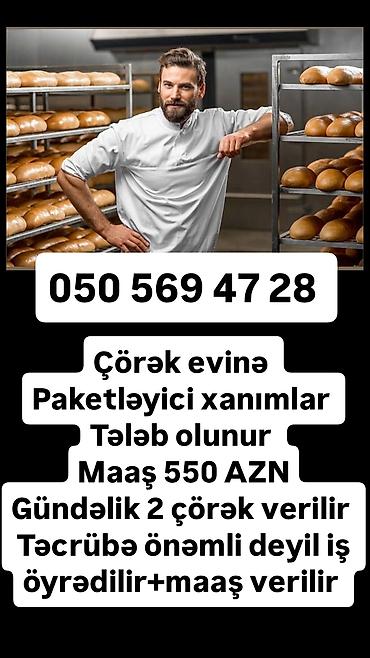 Fəhlələr: Vakansiyalar - Çörək evinə fəhlə (bəy) tələb olunur - Maaş: 500–700 — 14