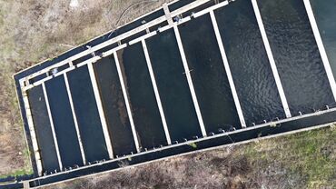 Torpaq sahələrinin satışı: 300 sot, Kənd təsərrüfatı, Mülkiyyətçi, Texniki pasport, Kupça (Çıxarış) — 2