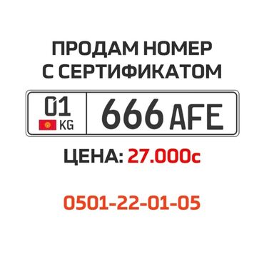 Другой транспорт: Гос номер 666 AFE - 27K