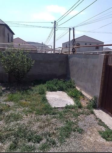 berdə: 3 otaqlı, 60 kv. m, Kredit yoxdur, Yeni təmirli — 5
