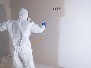 Покраска: Декоративная покраска, Покраска ворот, Покраска дверей, На масляной основе, На водной основе, Больше 6 лет опыта — 4