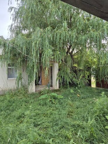 Продажа домов: Дом, 57 м², 3 комнаты, Собственник, Старый ремонт — 4