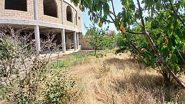Torpaq sahələrinin satışı: 12 sot, Tikinti, Mülkiyyətçi, Kupça (Çıxarış) — 21