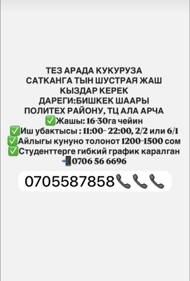 продавец консультант дордой: Требуется Продавец-консультант в Продуктовый магазин, Обучение, Подработка