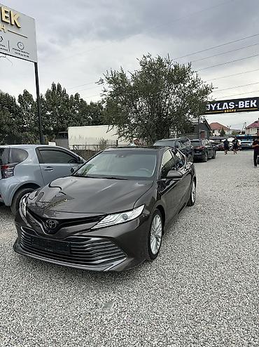 решётки на радиаторы: Toyota Camry: 2019 г., 2.5 л, Автомат, Бензин, Седан — 2