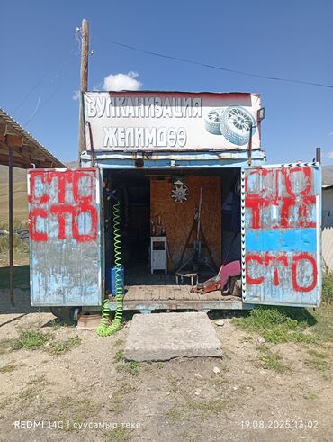 страхование сельскохозяйственных животных: Перетяжка салона, Замена масел, жидкостей, Плановое техобслуживание, без выезда