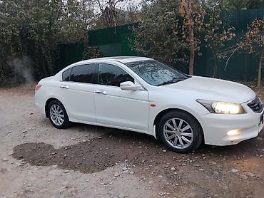 honda accord2: Honda Accord: 2008 г., Бензин, Седан — 1