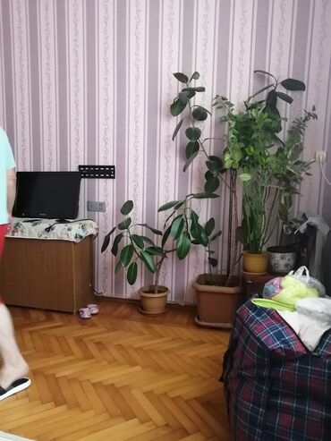 en gozel dibcek gulleri: Müxtəlif dibcek gülləri