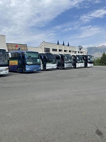 rex sprinter: Пункт назначения: Все направления, Количество мест: 48, Лицензия №: 234596421450 — 2
