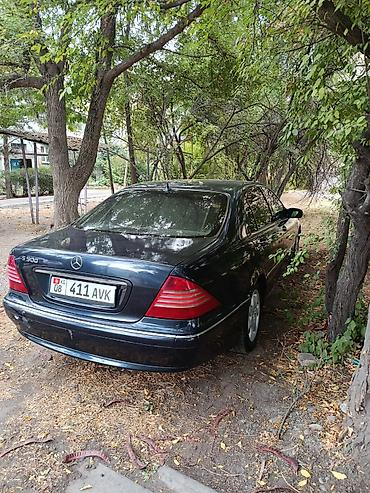 кабан 140: Mercedes-Benz S-Class: 2001 г., 5 л, Автомат, Бензин, Седан — 6