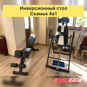 чехол для стульчика: Family Sport Универсальный тренажёр 4в1 Гиперекстензия Парта Скотта