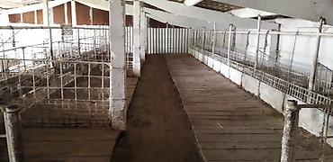 Продажа сельхозпредприятий: Farm КРС, 75 соток, Канализация, Скважина — 14