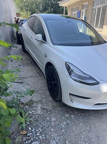 bud e9: Tesla Model 3: 2020 г., 5.5 л, Автомат, Электромобиль, Седан — 4