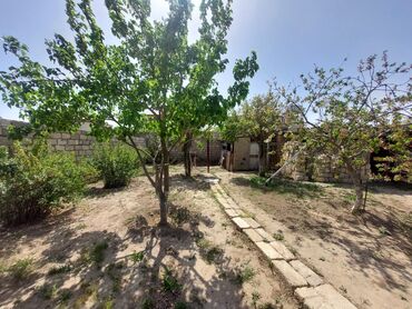 Bağ evlərinin satışı: Bakı, 150 kv. m, 7 otaqlı, İnternet, Telefon, Su — 6